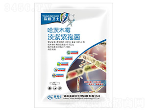 ����ľù���������߾�-̿���l(w��i)ʿ-̩����