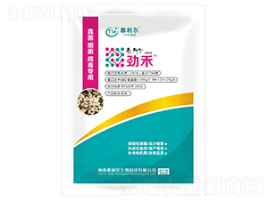 �����(x��)����������-�ź�-̩����