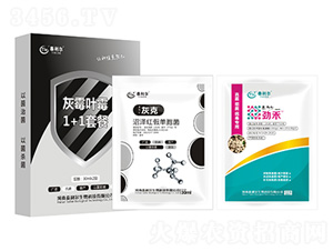 ��ù�~ù1+1�ײ�-̩����