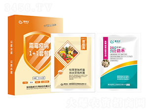 ˪ù�߲�1+1�ײ�-̩����