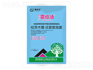 ����ľù���������߾�-˪��ͨ-̩����