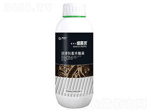 �ӝɼt�نΰ���-��(x��)���`-̩����