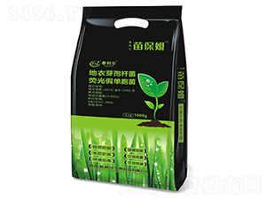 ����ѿ�ߗU�����ɹ�ΰ��U��-�籣ķ-̩����