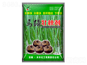 �R����턩-���S