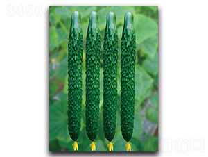 ����5̖(h��o)-�S�ϷN��-��ľ�N��