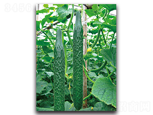 ����4̖(h��o)-�S�ϷN��-��ľ�N��