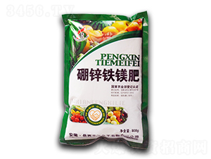 ���\�F�V��-���S