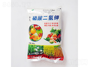 400g��Ԫ��������-���S