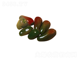 ����07-�����N��-��ľ�N��