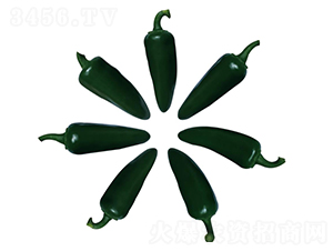 ����06-�����N��-��ľ�N��