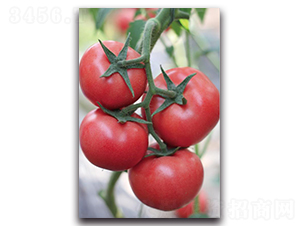 ����10̖(h��o)-���ѷN��-��ľ�N��