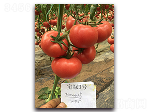 ����3̖(h��o)-���ѷN��-��ľ�N��