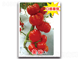 ��ζF1-���ѷN��-ʢ���N�I(y��)