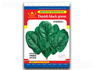 �����ھG-���˷N��-��¡��