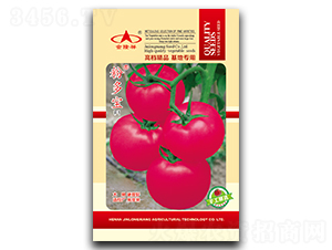 �۶���-���ѷN��-��¡��