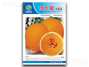 �t̫������-��ϷN��-����N��