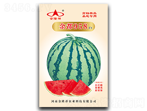 ��958-���ϷN��-��¡��