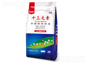 ʮ��Ԫ��-�����