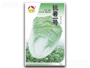 ����һ̖-�ײ˷N��-�|���N�I(y��)