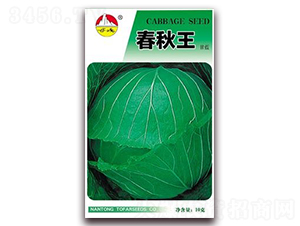 春秋王-甘藍(lán)種子-東方種業(yè)