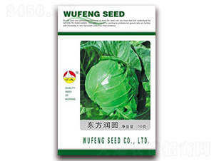 �|�����A-���{(l��n)�N��-�|���N�I(y��)