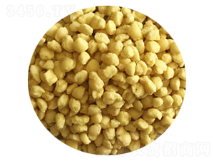 �w���Ȼ��@���S��-ҫ�_����