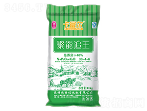 卡富爾聚能追王30-4-6-施特佳