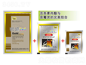 �|���f1+1-�����_(d��)