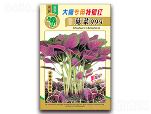 大棚專用特別紅莧菜999-莧菜種子-吉豐種業(yè)