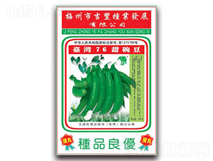 改良臺(tái)灣奇珍76甜豌豆-豌豆種子-吉豐種業(yè)