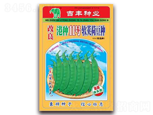 改良港種11號軟莢荷豆種-荷蘭豆種子-吉豐種業(yè)