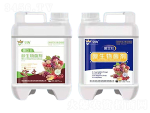 ΢�������-������-�ʺ�