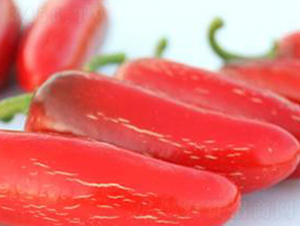 PA14-�����N��-�G�x�N�I(y��)