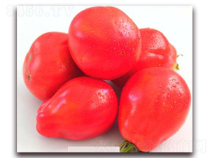 TM189-���ѷN��-�G�x�N�I(y��)