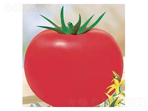 TA09-���ѷN��-�G�x�N�I(y��)