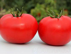 TA08-���ѷN��-�G�x�N�I(y��)