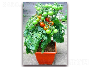 TA07-���ѷN��-�G�x�N�I(y��)