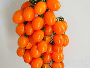 TM170-���ѷN��-�G�x�N�I(y��)