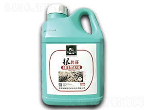 ����(sh��)��-����