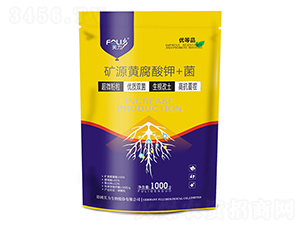 �VԴ�S�����+��-ܽ������