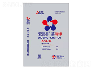 �|���0-52-34-�۵�