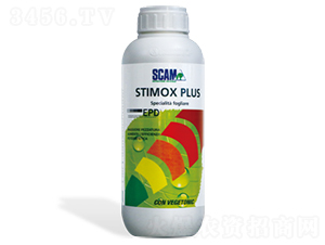 �����-��(y��u)˼��