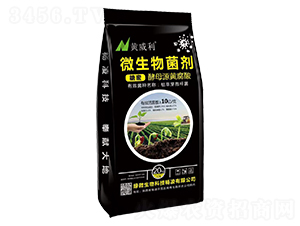 ΢�������-�S����-�G΢����