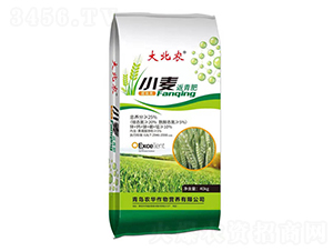 С�������-���r(n��ng)-�r(n��ng)�A