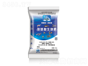 �����������-��������