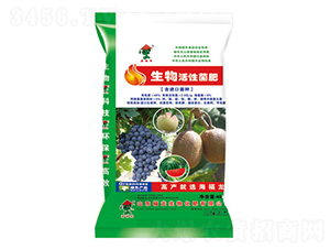 ������Ծ���-��������