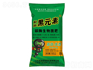 ��Ԫ��̼ø�������-�ZԴ����