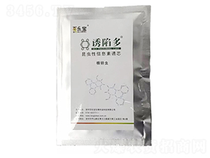 ����x(ch��ng)���Tо-�T�ݶ�-�٘�(l��)��