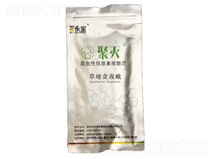 �ݵ�؝ҹ�����Tо-�ۜ�-�٘�(l��)��