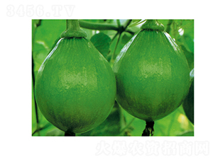 �n������-�ϹϷN��-���}�r(n��ng)�I(y��)